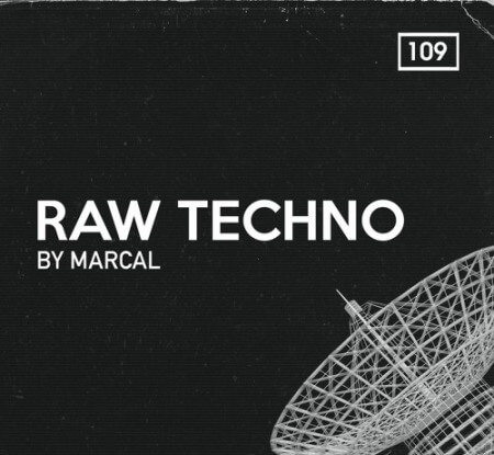 Bingoshakerz Raw Techno By Marcal WAV REX